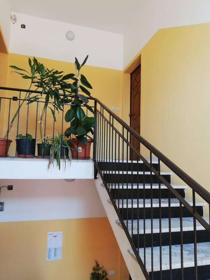 Appartamento Casa GIULIA al centro di Olbia Esterno foto